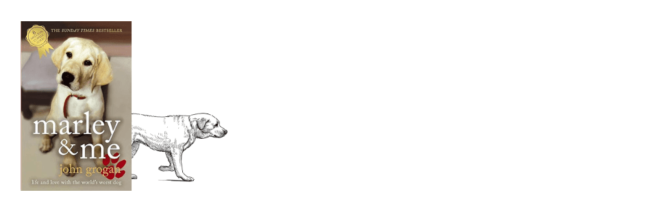 Build Anything. Build Ever (18).png
