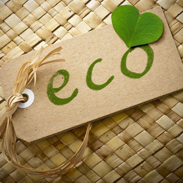 Learn to Be Eco-Friendly by Using These 5 Suggested Apps