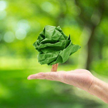 4 Benefits of Saving Paper: Should You Go Greener?