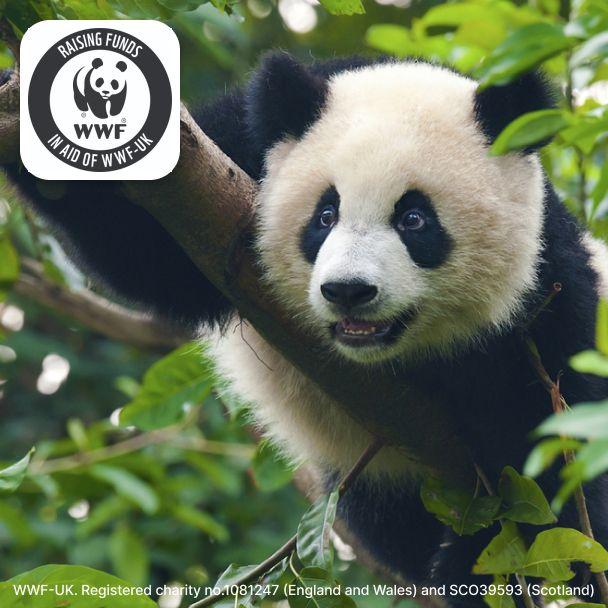 You Can Now Donate to WWF-UK Through WeBuyBooks!