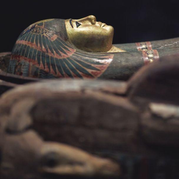 A Beginner’s Guide to Egyptology: Top Books on Ancient Egypt