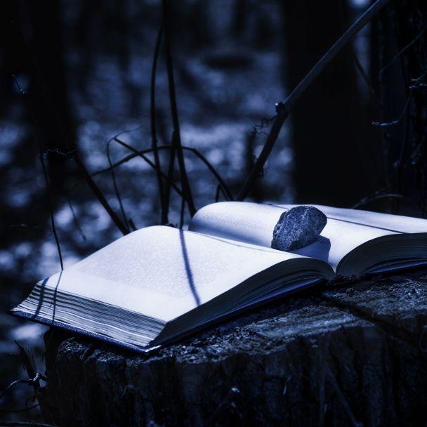 Top 10 Mystery Books You Need to Read