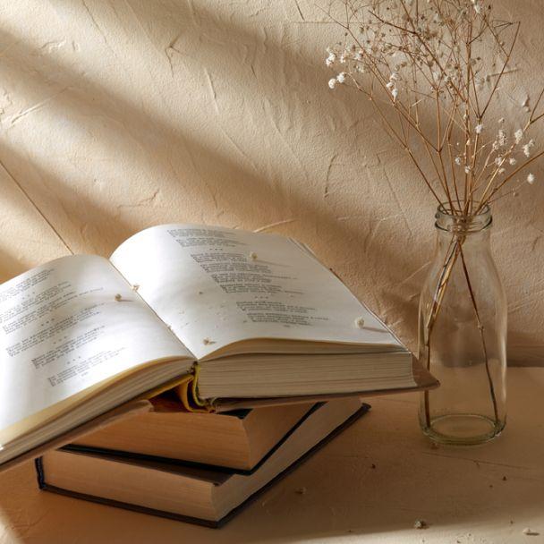 The Best Poetry Books You Should Read