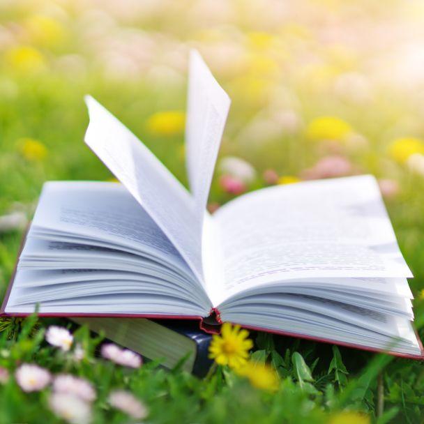 The Best Summer Reads of All Time