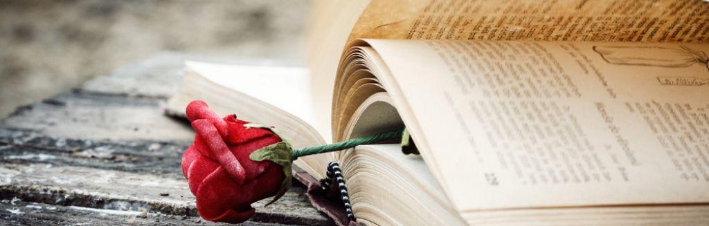 February Reading Challenge_ Romance.jpg