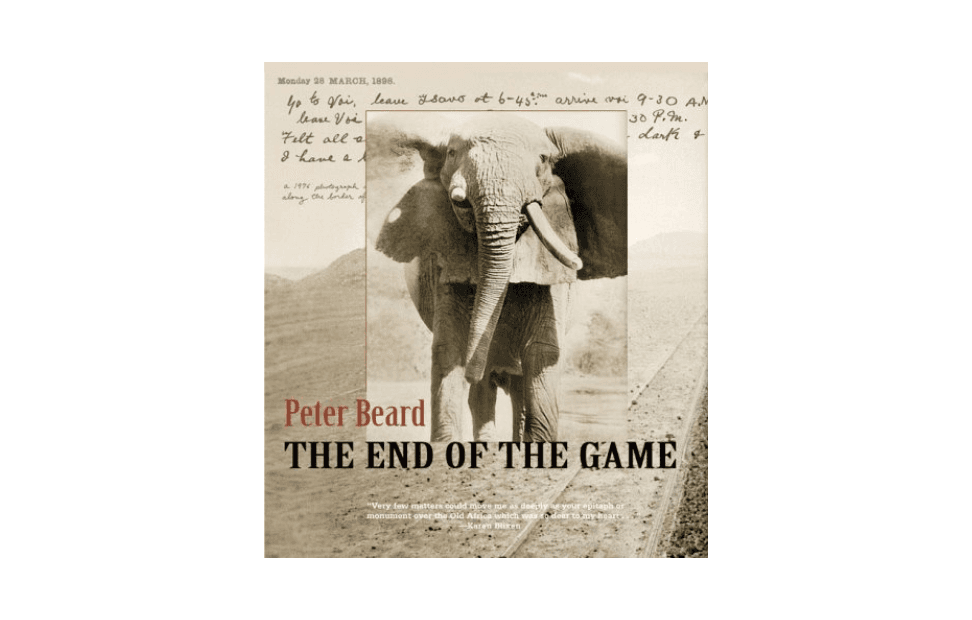 The End of the Game book .png