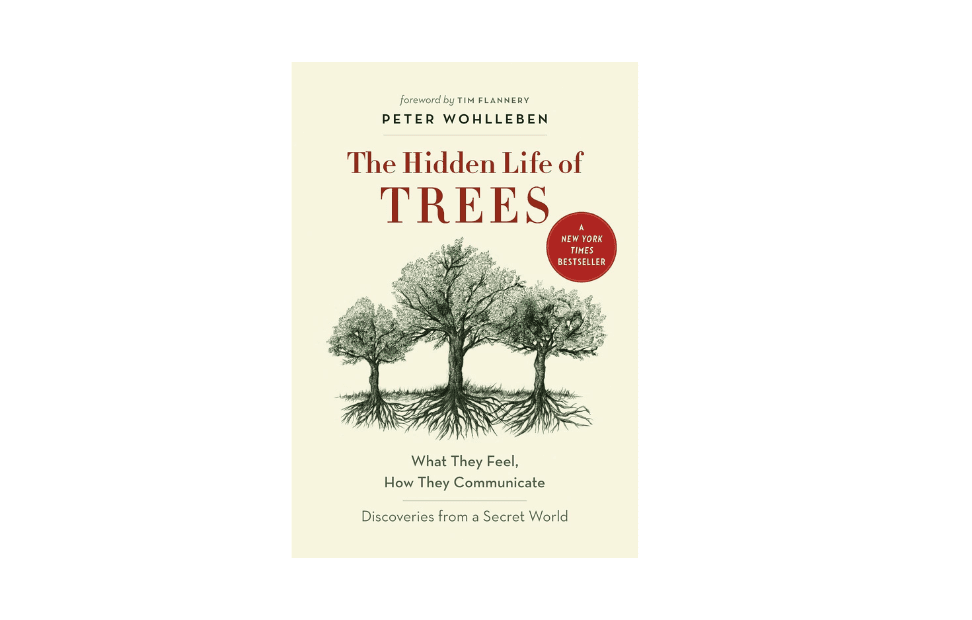 The Hidden Life of Trees book .png