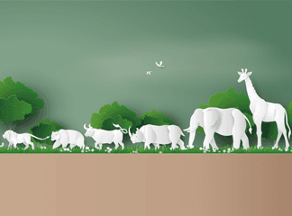 The Top 10 Wildlife Books to Enjoy for World Wildlife Day