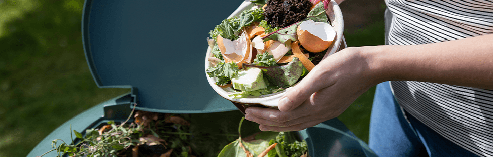 blog images compost.png