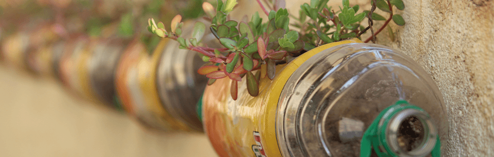 blog images upcycle.png