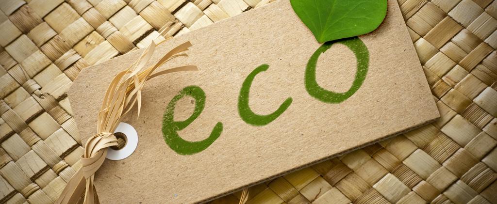 Top 5 Apps for the Eco-Friendly