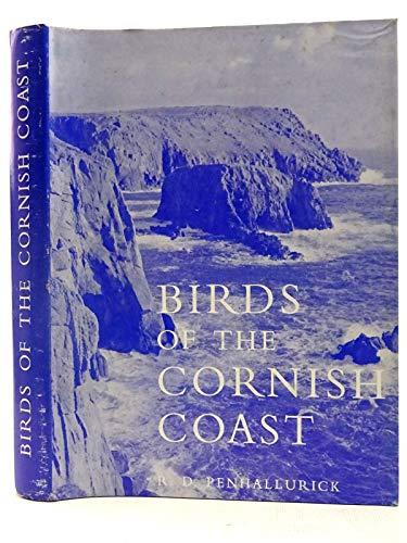 Birds of the Cornish Coast