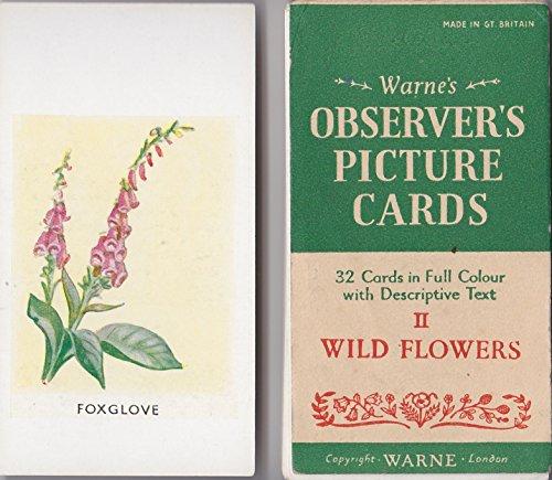 Warne's Observer's picture cards II: wild flowers