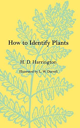 How To Identify Plants