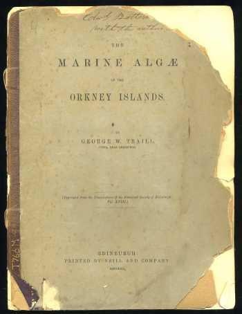 The marine algae of the Orkney Islands