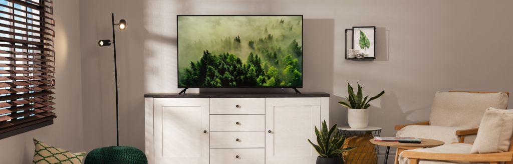 8. Flat-Screen TVs.jpg