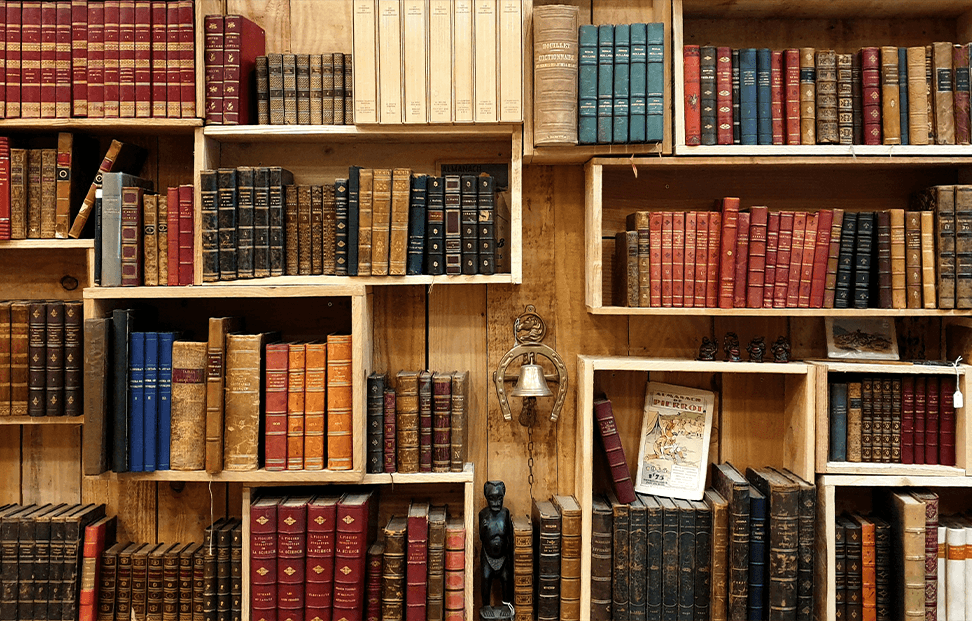 A quirky cllection of shelves holding lots of antique books on a wooden wall.png