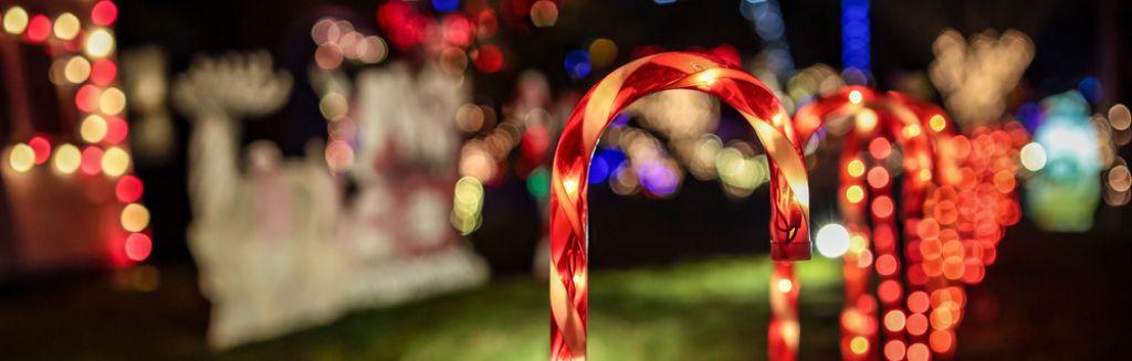Candy Cane Lane.jpg