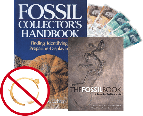Fossil Collector's Handbook and The Fossil Book beside UK banknotes, with a no-stain symbol over a coffee ring mark