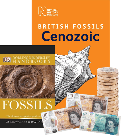 Fossil book covers 'British Fossils Cenozoic' and 'Fossils' beside UK banknotes and pound coins