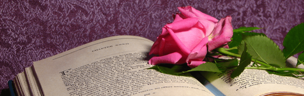 First edition copy of Pride and Prejudice with a pink rose on it.png