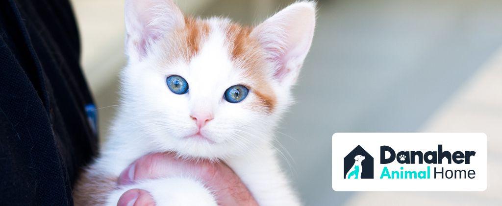 Header.jpg