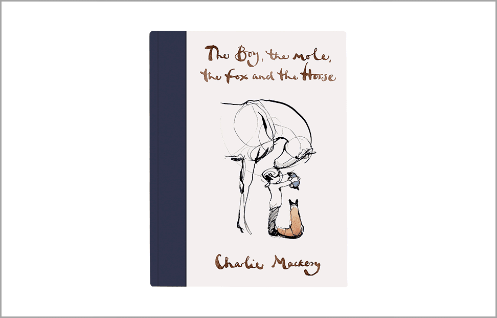 The Boy, The Mole, The Fox and The Horse by Charlie Mackesy book cover.png