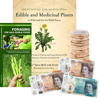 Foraging book covers with UK pound coins and banknotes, illustrating cash for used books