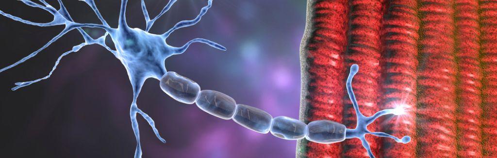 What is Myasthenia_.jpg