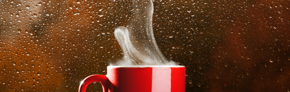 ambient rain on a window with a hot cup of coffee in front of the window.png