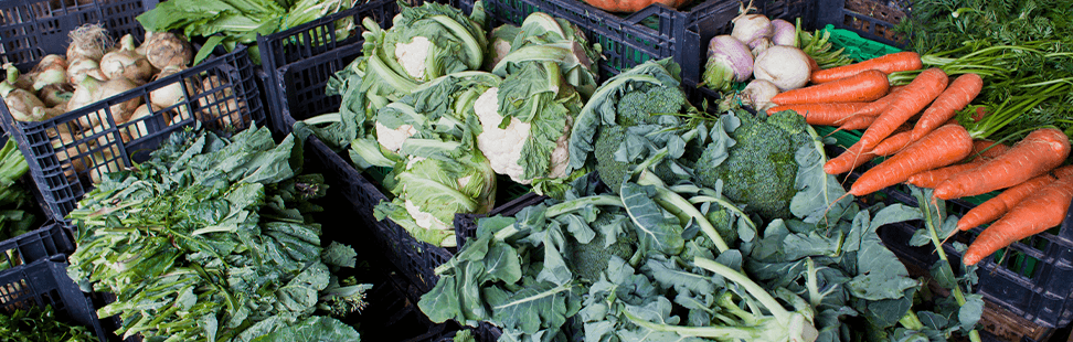 blog images-earthday-local produce.png