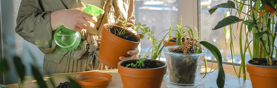 blog images-earthday-plant.png