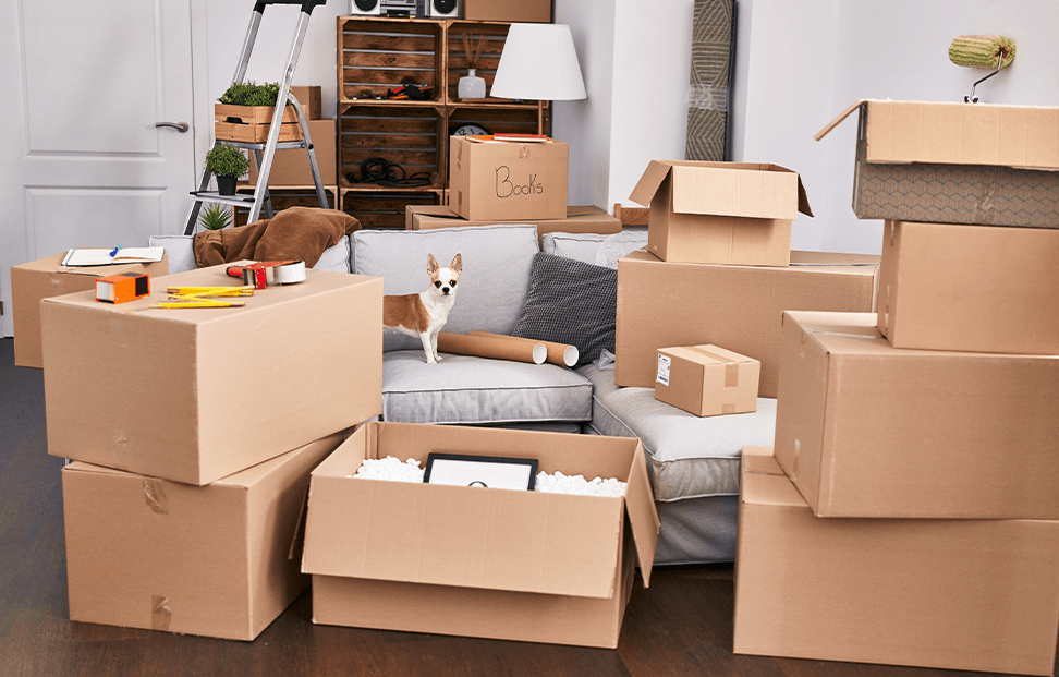 pile of carboard boxes at a packing party.png