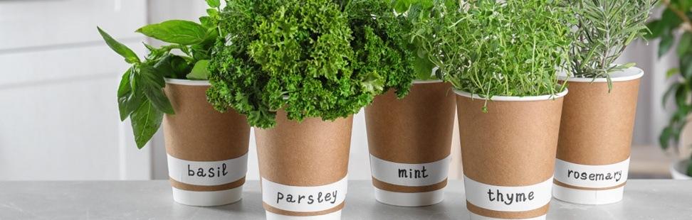 Upcycle Paper