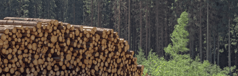 4. Prevents Illegal Logging