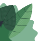 We buy books saves leaf left side